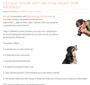 Could Your Pet Be The Next Top Model Pet Hooligans